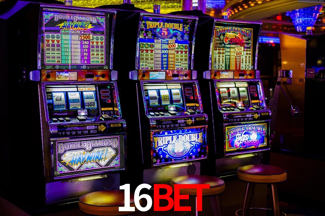 Sports Statistics 16Bet